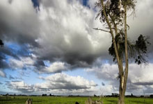 九游体育-包含浓眉哥新星持续失利表现突出，切尔西前途光明！的词条